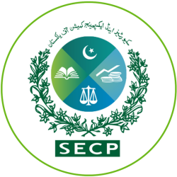 5_aa8eaccb-8b96-4806-ae24-0eddaca59466_533x